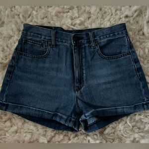 American Eagle Vintage Blue Jean Short